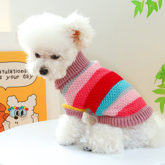 Colorful sweater for small breeds