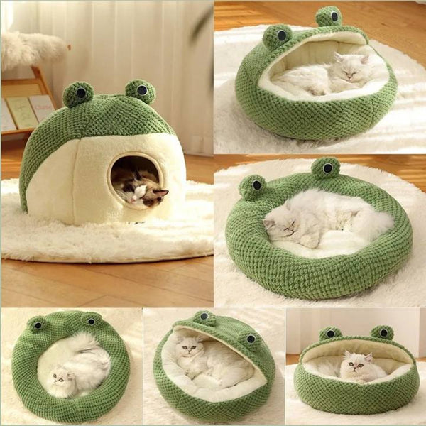 Little Frog Series: Cozy Winter Pet Sanctuary